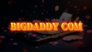 illustration text 'bigdaddy com'