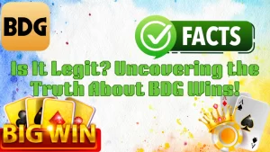 Is www.bdginr.in Legit? Uncovering the Truth About BDG Wins!